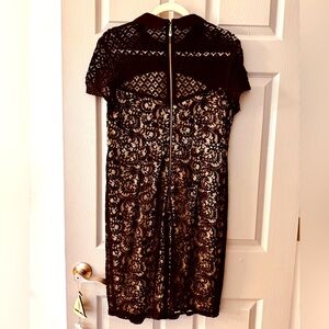 Dorothy Perkins Cap Sleeve Lace Fitted Dress